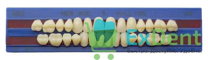 Гарнитур акриловых зубов A2, SS2, M28, Million и New Ace (28 шт) - фото 40496