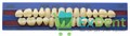 Гарнитур акриловых зубов A3, SS3, M30, Million и New Ace (28 шт) - фото 40498