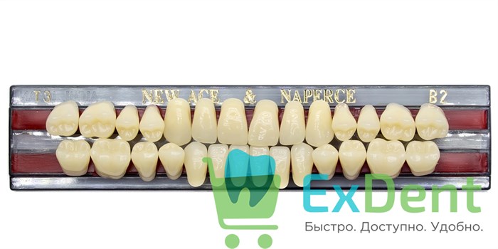 Гарнитур акриловых зубов B2, T3, Naperce и New Ace (28 шт) 18758 - фото 27456
