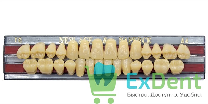 Гарнитур акриловых зубов A4, T6, Naperce и New Ace (28 шт) 14096 - фото 27468