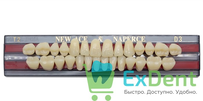 Гарнитур акриловых зубов D3, T2, Naperce и New Ace (28 шт) 18769 - фото 27477