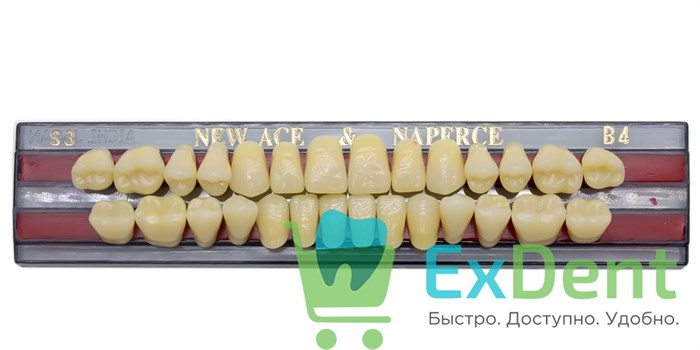 Гарнитур акриловых зубов B4, S3, Naperce и New Ace (28 шт) 20182 - фото 27478