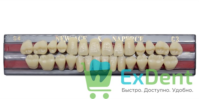 Гарнитур акриловых зубов C3, S4, Naperce и New Ace (28 шт) 18752 - фото 27480