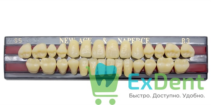 Гарнитур акриловых зубов B3, S5, Naperce и New Ace (28 шт) 20189 - фото 27481