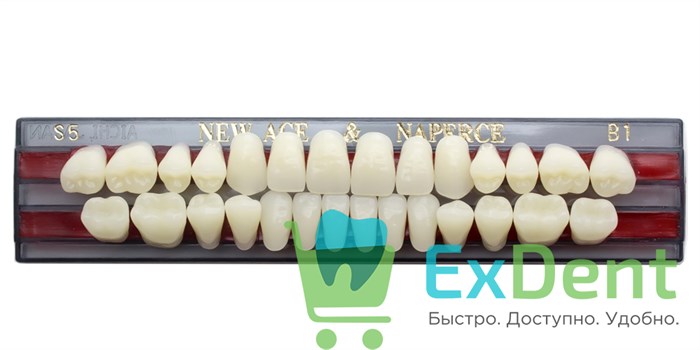 Гарнитур акриловых зубов B1, S5, Naperce и New Ace (28 шт) 20185 - фото 28952