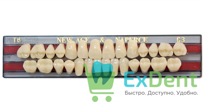 Гарнитур акриловых зубов C3, T6, Naperce и New Ace (28 шт) 18751 - фото 30956