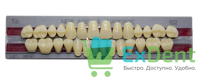 Гарнитур акриловых зубов B2, T6, Naperce и New Ace (28 шт) 18760 - фото 32518