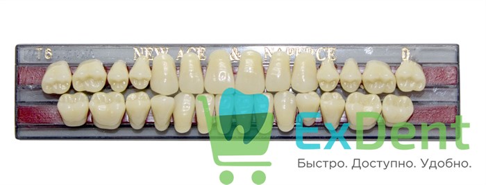 Гарнитур акриловых зубов D3, T6, Naperce и New Ace (28 шт) 20212 - фото 32524