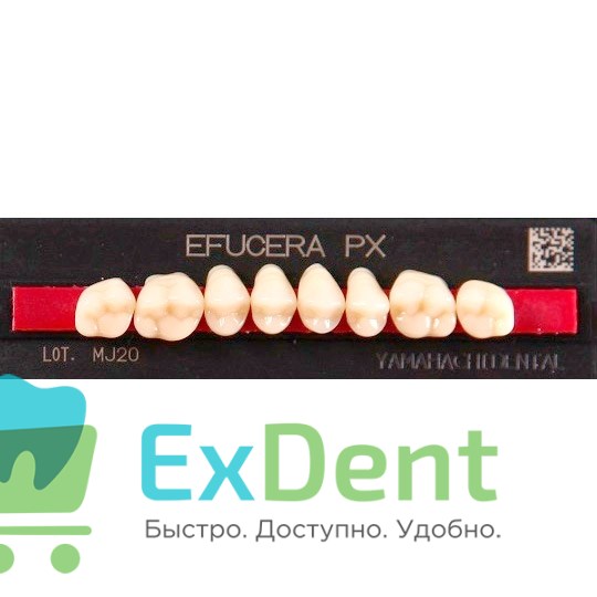 Гарнитур боковых зубов  Efucera PX - верхние, цвет A1 фасон 32, композитные трехслойные (8шт) 17854 - фото 35686