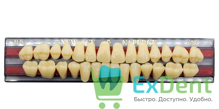 Гарнитур акриловых зубов A3,5, TL5, Naperce и New Ace (28 шт) 20175 - фото 26617