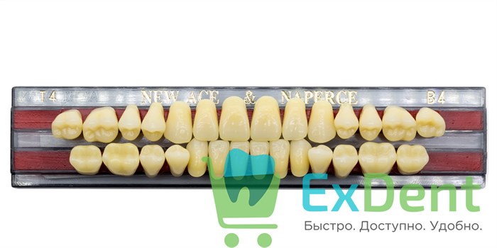 Гарнитур акриловых зубов B4, T4, Naperce и New Ace (28 шт) 20184 - фото 26627