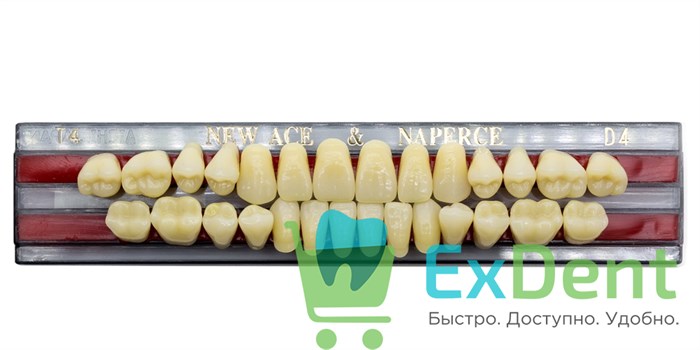 Гарнитур акриловых зубов D4, T4, Naperce и New Ace (28 шт) 20208 - фото 26630