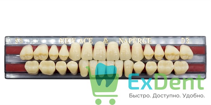 Гарнитур акриловых зубов D3, S5, Naperce и New Ace (28 шт) 15745 - фото 26631
