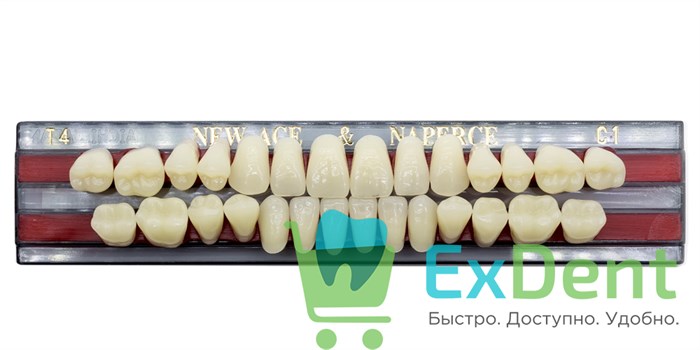 Гарнитур акриловых зубов C1, T4, Naperce и New Ace (28 шт) 20190 - фото 26642