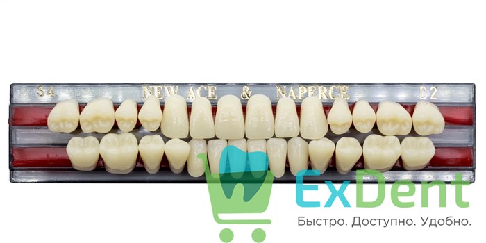 Гарнитур акриловых зубов D2, S4, Naperce и New Ace (28 шт) 18767 - фото 26645