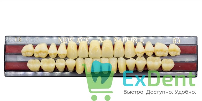 Гарнитур акриловых зубов B3, T4, Naperce и New Ace (28 шт) 20180 - фото 26648