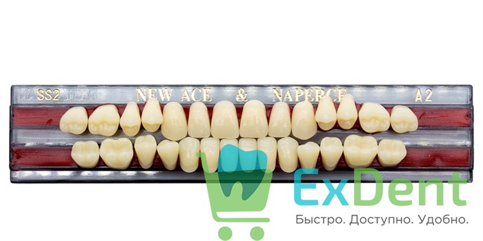 Гарнитур акриловых зубов A2, SS2, Naperce и New Ace (28 шт) 20159 - фото 26660