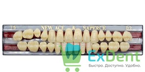Гарнитур акриловых зубов D3, T5, Naperce и New Ace (28 шт) 15744