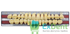 Гарнитур акриловых зубов B4, T3, Naperce и New Ace (28 шт) 20181