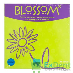 {{productViewItem.photos[photoViewList.activeNavIndex].Alt || productViewItem.photos[photoViewList.activeNavIndex].Description || 'Резиновые завесы Blossom синие M (152 х 152 мм) - листы латексные для раббердам (36 шт)'}}