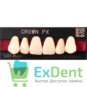 {{productViewItem.photos[photoViewList.activeNavIndex].Alt || productViewItem.photos[photoViewList.activeNavIndex].Description || 'Гарнитур фронтальных зубов  Crown PX - верхние, цвет A2 фасон S44S, композитные трехслойные (6шт)'}}