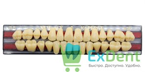 Гарнитур акриловых зубов A3,5, TL5, Naperce и New Ace (28 шт) 20175