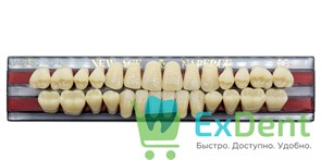 Гарнитур акриловых зубов C3, T5, Naperce и New Ace (28 шт) 20198