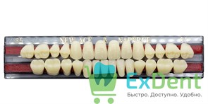 Гарнитур акриловых зубов C1, S5, Naperce и New Ace (28 шт) 20193