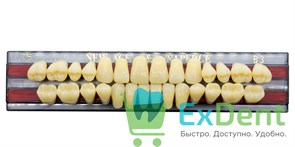 Гарнитур акриловых зубов B3, T5, Naperce и New Ace (28 шт) 20179