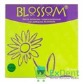 Резиновые завесы Blossom зеленые M (152 х 152 мм) - листы латексные для раббердам (36 шт) 16743 - фото 27714
