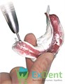 Fit Checker (Фит Чекер) Tube - силиконовый материал для подгонки съемных протезов (2 х 55 г + 50 г) 12243 - фото 1524