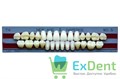 Гарнитур акриловых зубов W05, T4, Naperce и New Ace (28 шт) 21564 - фото 35340