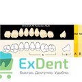 Гарнитур боковых зубов  Efucera PX - верхние, цвет A3 фасон 28, композитные трехслойные (8шт) 20957 - фото 35669