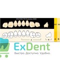 Гарнитур боковых зубов  Efucera PX - верхние, цвет A3 фасон 30, композитные трехслойные (8шт) 16677 - фото 35675