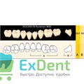 Гарнитур боковых зубов  Efucera PX - нижние, цвет A1 фасон 30, композитные трехслойные (8шт) 20487 - фото 35679