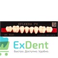 Гарнитур боковых зубов  Efucera PX - нижние, цвет A3 фасон 30, композитные трехслойные (8шт) 15147 - фото 35682