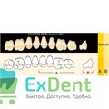 Гарнитур боковых зубов  Efucera PX - верхние, цвет A3,5 фасон 32, композитные трехслойные (8шт) 18978 - фото 35693