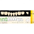Гарнитур боковых зубов  Efucera PX - нижние, цвет A2 фасон 32, композитные трехслойные (8шт) 14454 - фото 35697