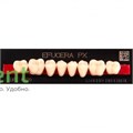 Гарнитур боковых зубов  Efucera PX - нижние, цвет A3,5 фасон 32, композитные трехслойные (8шт) 17407 - фото 35700