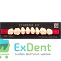 Гарнитур боковых зубов  Efucera PX - верхние, цвет A2 фасон 34, композитные трехслойные (8шт) 19263 - фото 35702