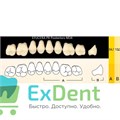 Гарнитур боковых зубов  Efucera PX - верхние, цвет A3 фасон 34, композитные трехслойные (8шт) 18031 - фото 35705