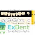 Гарнитур боковых зубов  Efucera PX - нижние, цвет A3 фасон 34, композитные трехслойные (8шт) 16529 - фото 35757